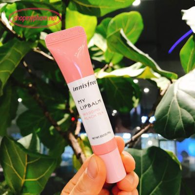 son dưỡng môi innisfree My lip balm